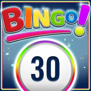 Play Bingo 30 Ball on Slotified Freeplay Casino