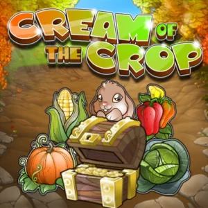 Cream Of The Crop